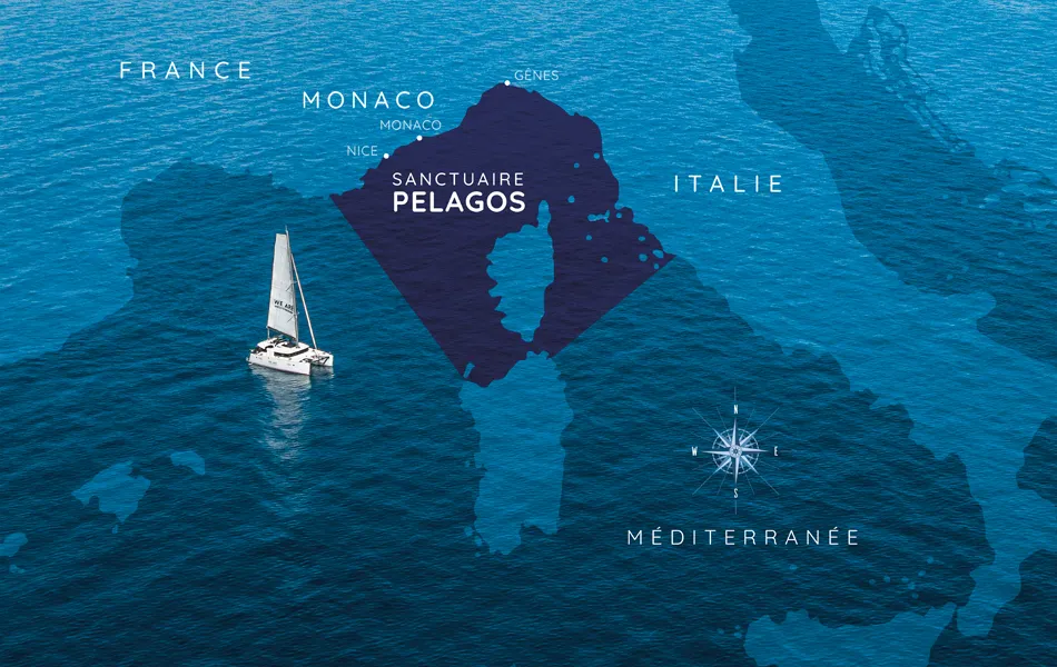 Carte du Sanctuaire Pélagos