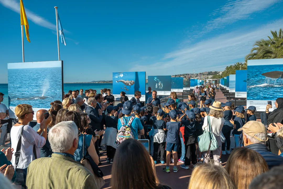 Série TV "Notre planète"