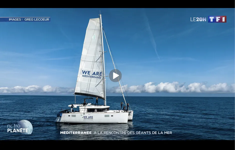 serie-TV-TF1-expedition-pelagos Série TV "Notre planète"