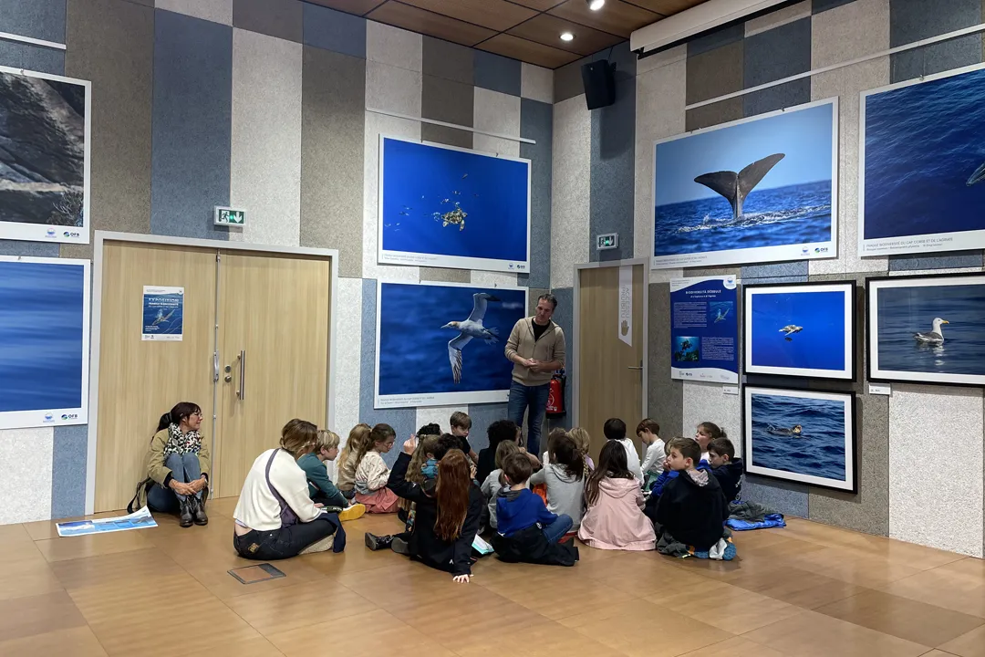 Nos missions : transmettre