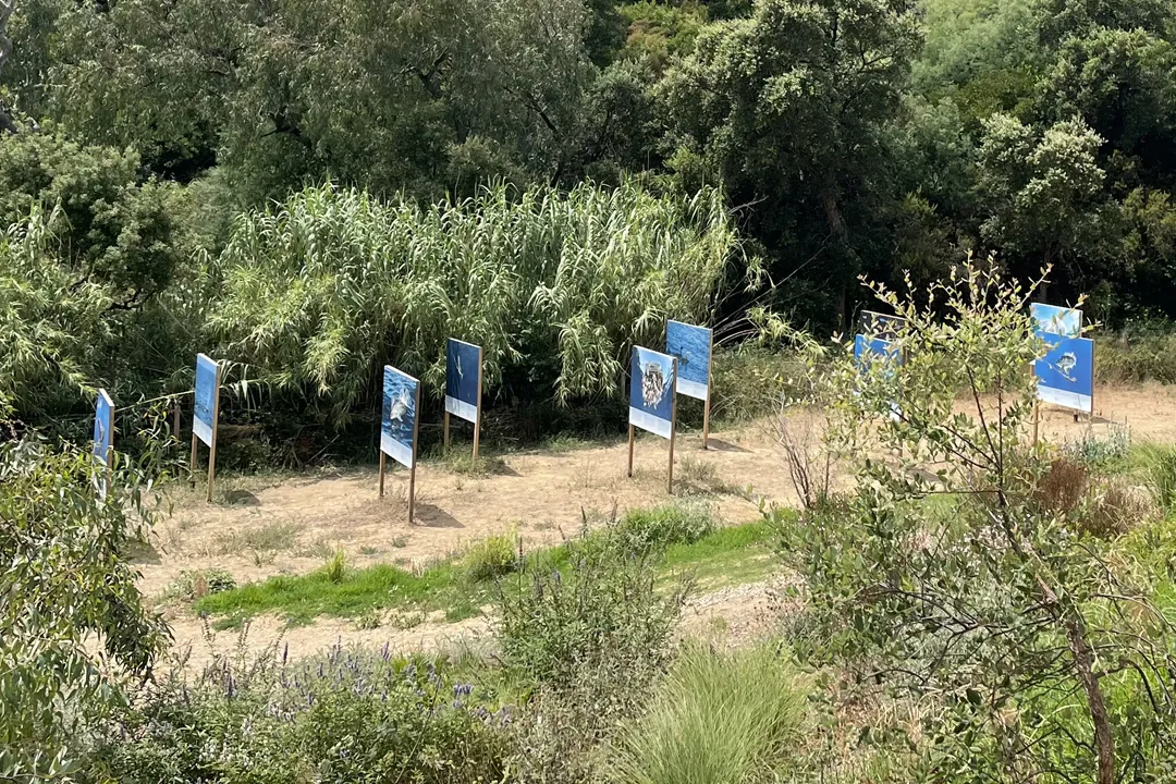 Cavalaire Maison de la nature