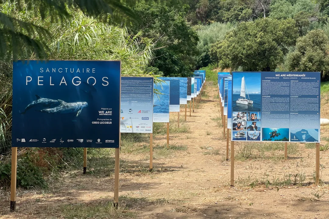 Cavalaire Maison de la nature