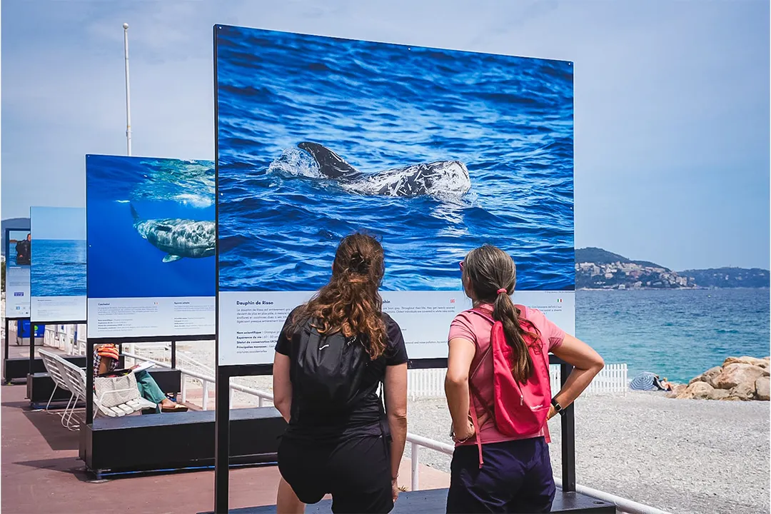 Promenade des Anglais Nice