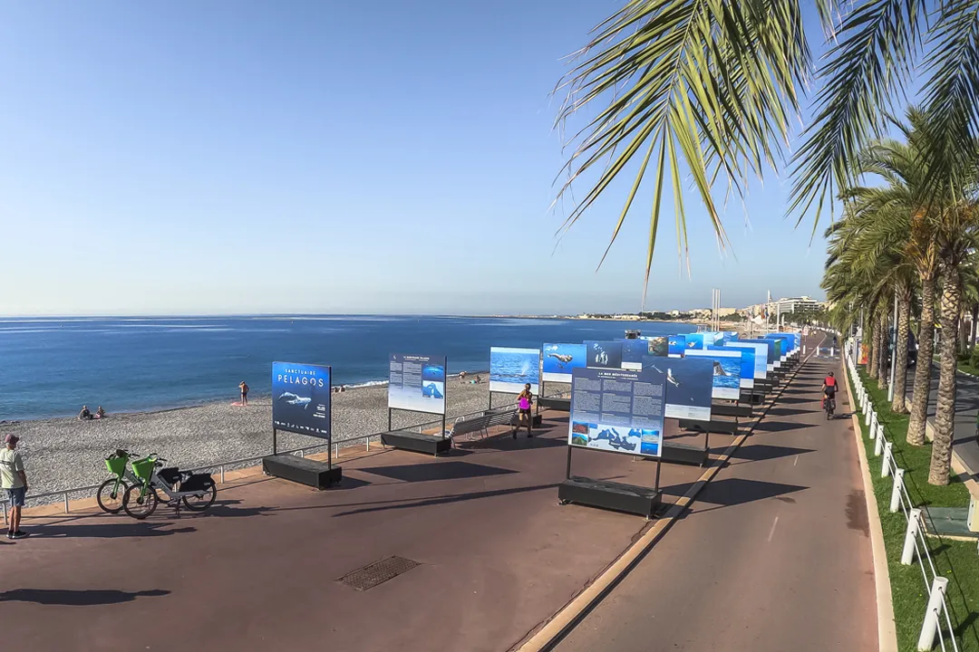 Promenade des Anglais Nice