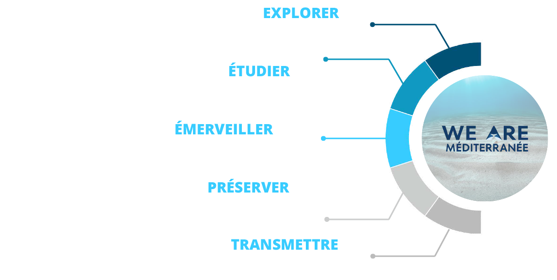 Les missions de l'association We Are Méditerranée : explorer, étudier, émerveiller, préserver, transmettre