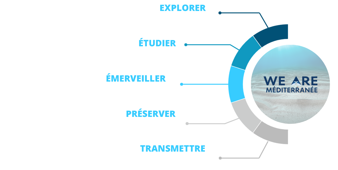 The mission of the We Are Méditerranée association: to explore, study, inspire wonder, preserve, and share The mission of the We Are Méditerranée association: to explore, study, inspire wonder, preserve, and share