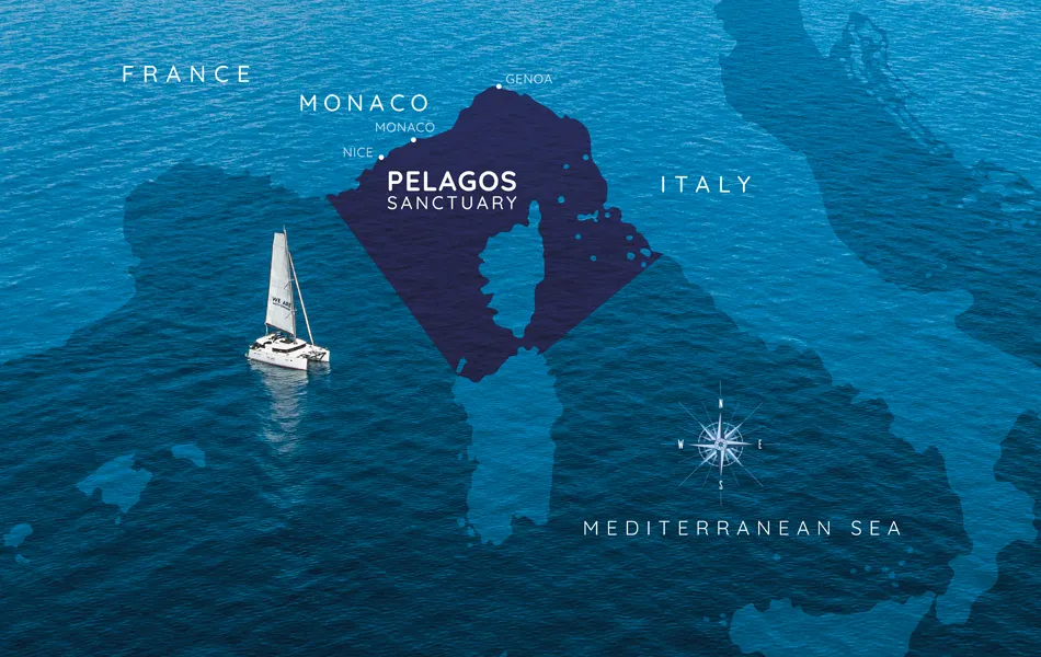 Pelagos Sanctuary map