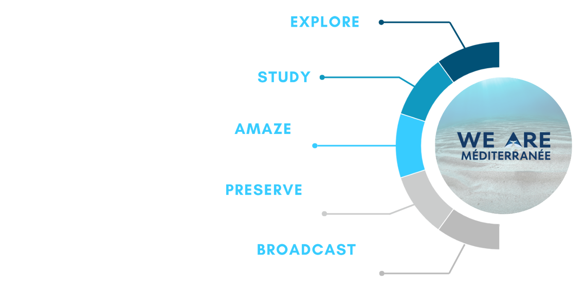 Initiatives of We Are Méditerranée Association Initiatives of We Are Méditerranée Association
